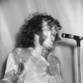 Cocker, Joe